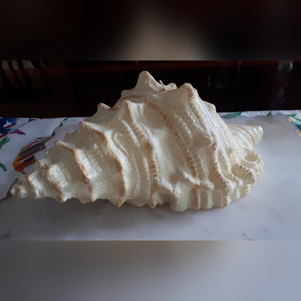 Large shell candle - Picture 4 of 6